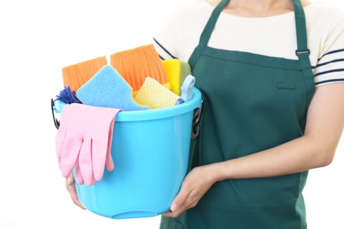 Professional team conducting house clearance