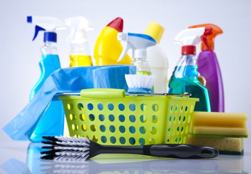 Eco-friendly carpet cleaning solutions