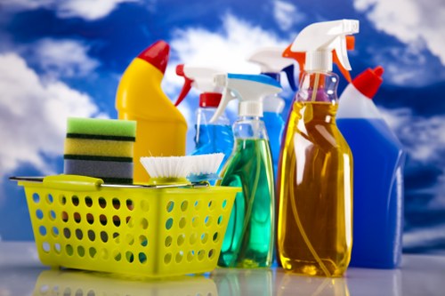 Professional rug cleaning service in Chiwick