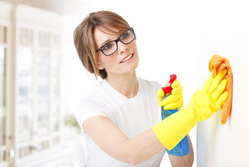 Cleaning equipment used by Chiwick Carpet Cleaners