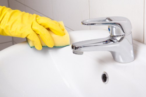 Eco-friendly cleaning products in use