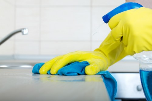 Eco-friendly rug cleaning process