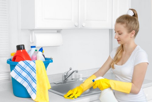 Eco-friendly cleaning products used by Chiwick