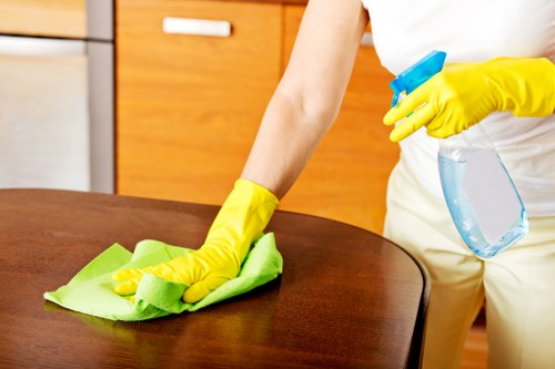 Advanced carpet cleaning equipment used by Chiwick