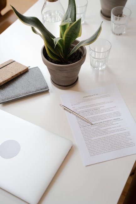 A neatly organized office desk featuring a potted snake plant with broad, variegated green leaves at the center, surrounded by three clear drinking glasses, a closed silver laptop with a circular logo